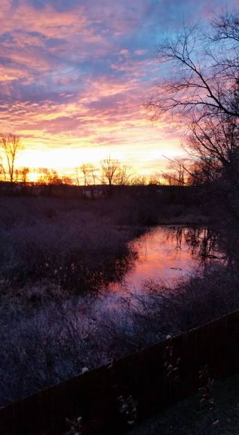 12316538_10153916388172873_1406061912888573974_n