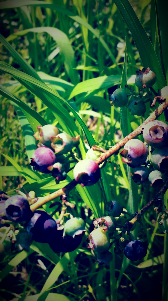 20160711_105617_1469480576052