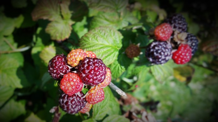 20160711_111916_1469480577543